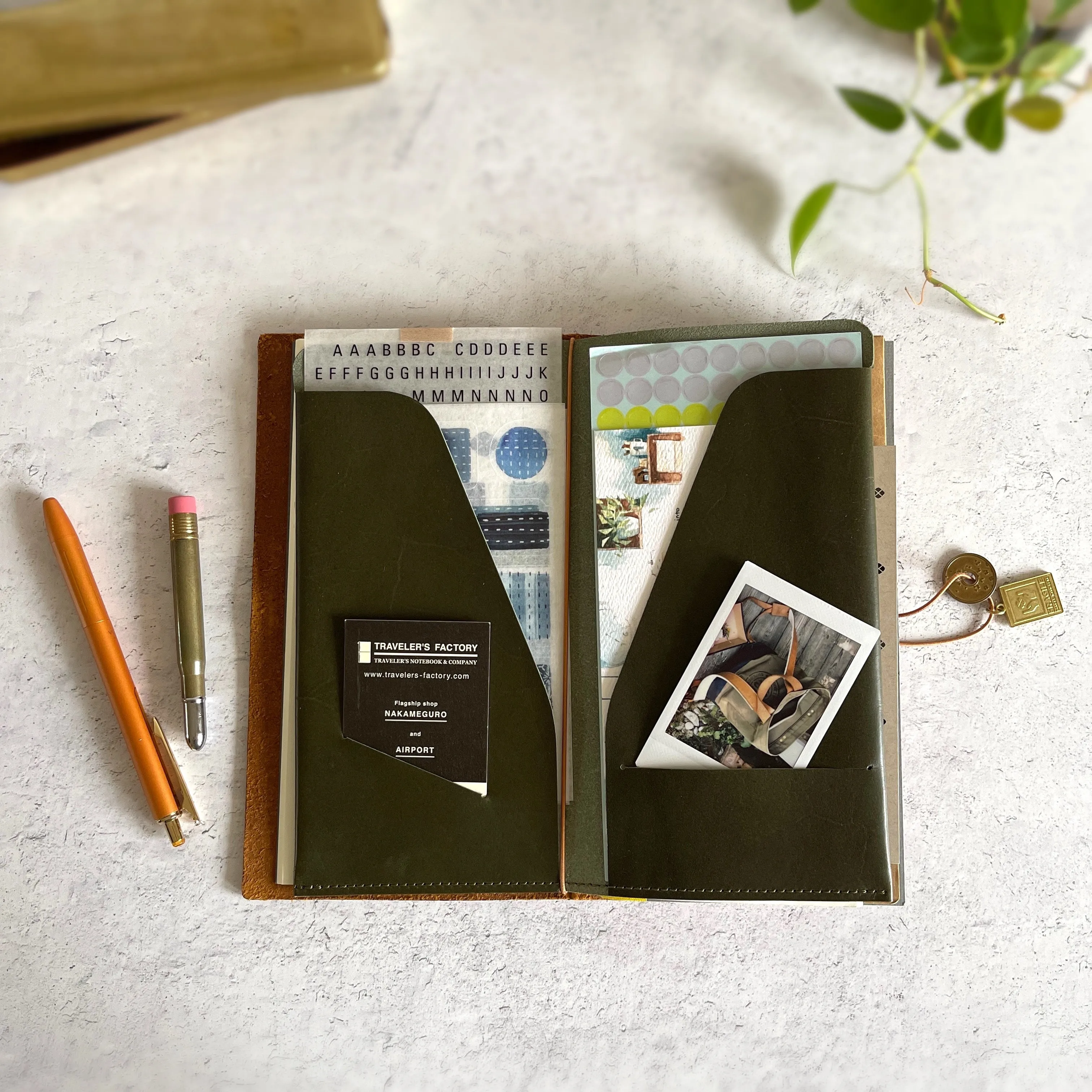 [BKx1.61] Portfolio Folder // Olive (Regular)