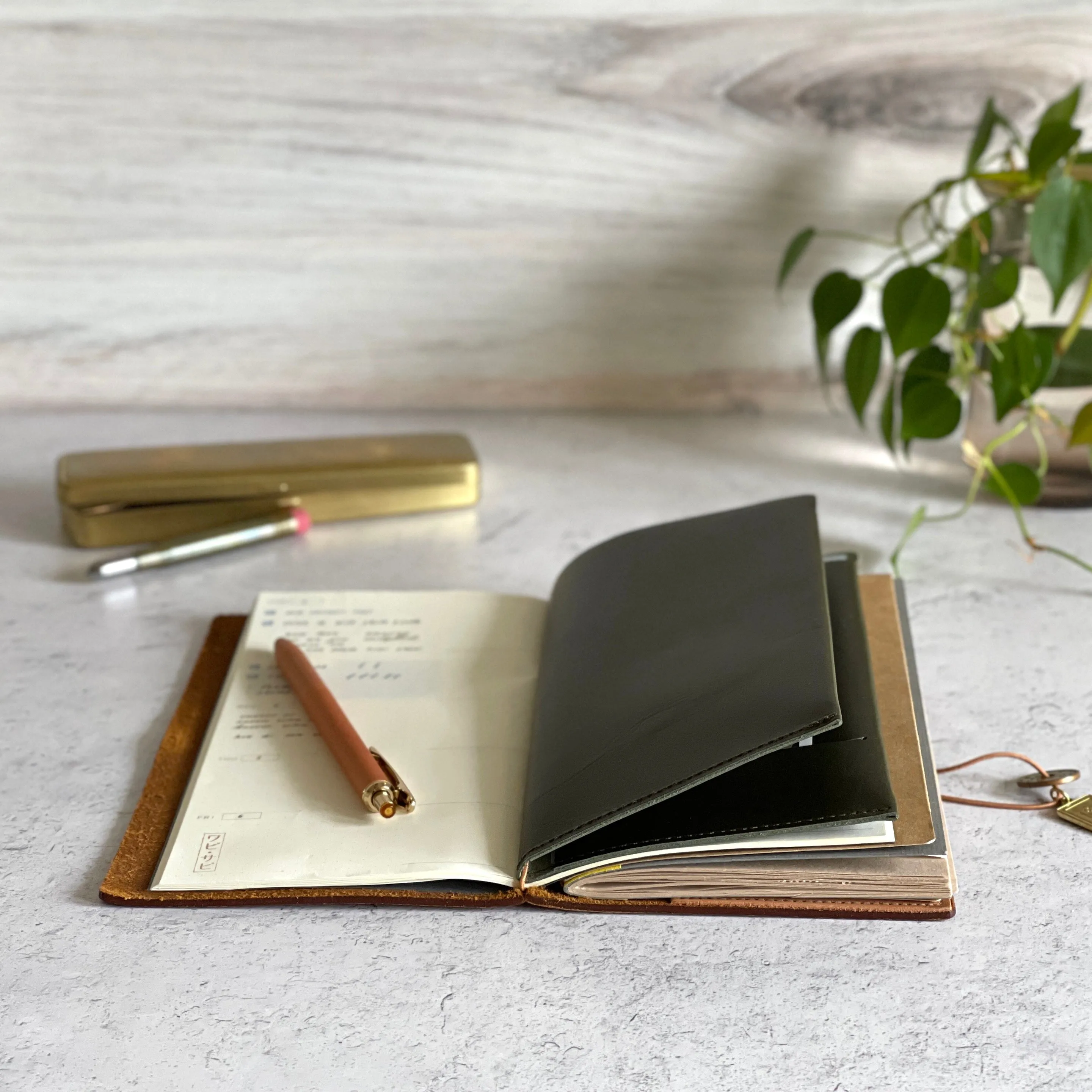 [BKx1.61] Portfolio Folder // Olive (Regular)