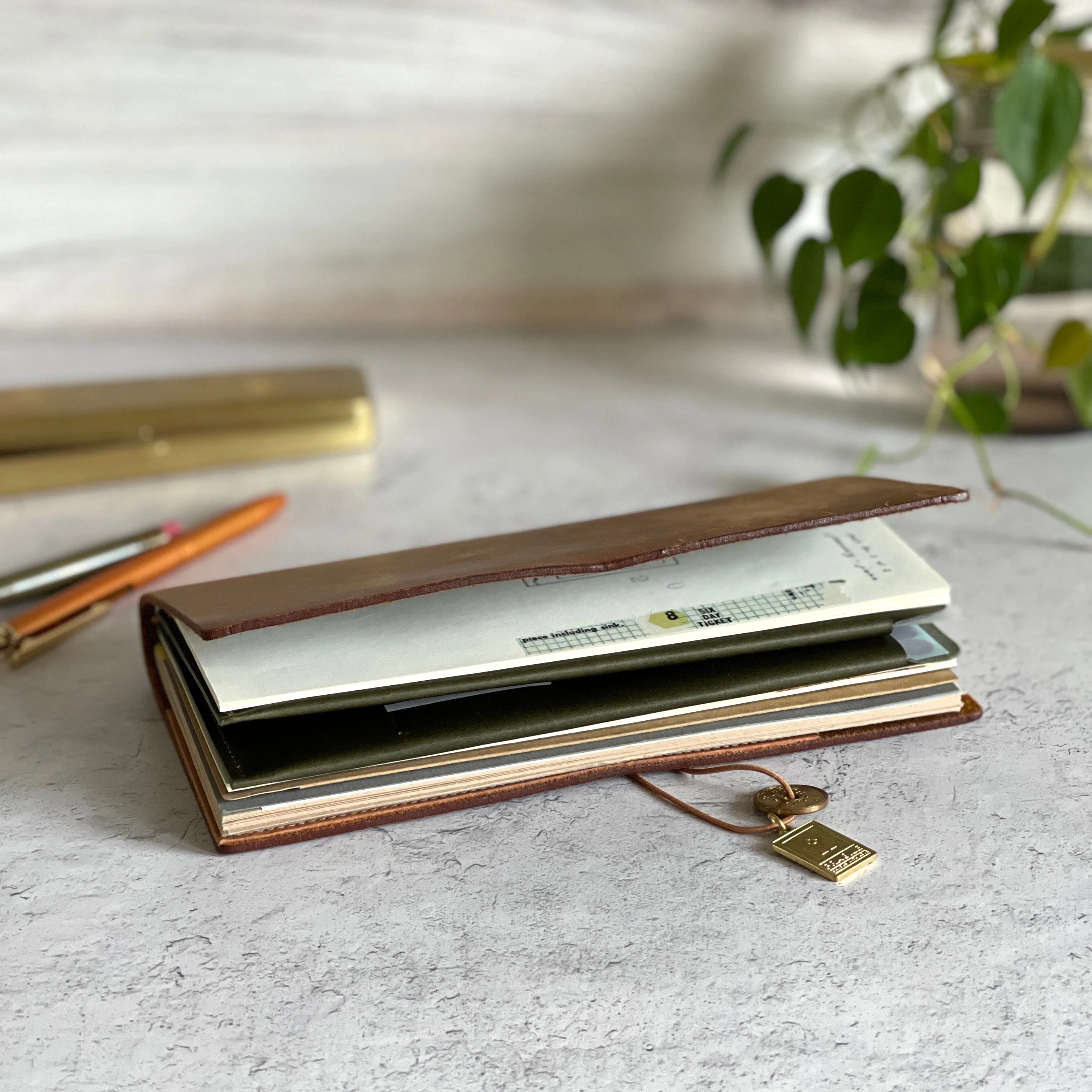 [BKx1.61] Portfolio Folder // Olive (Regular)