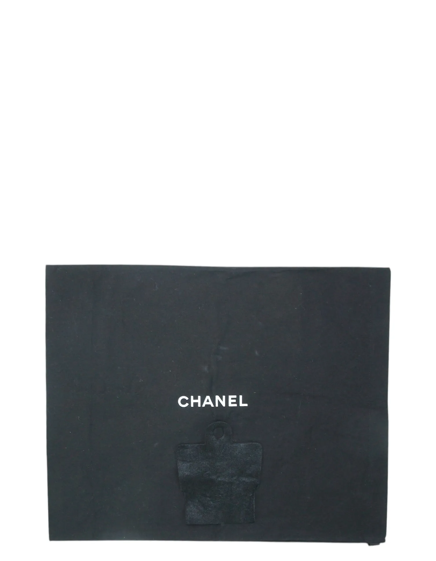 Chanel 2025 Black Leather Small 25 Hobo