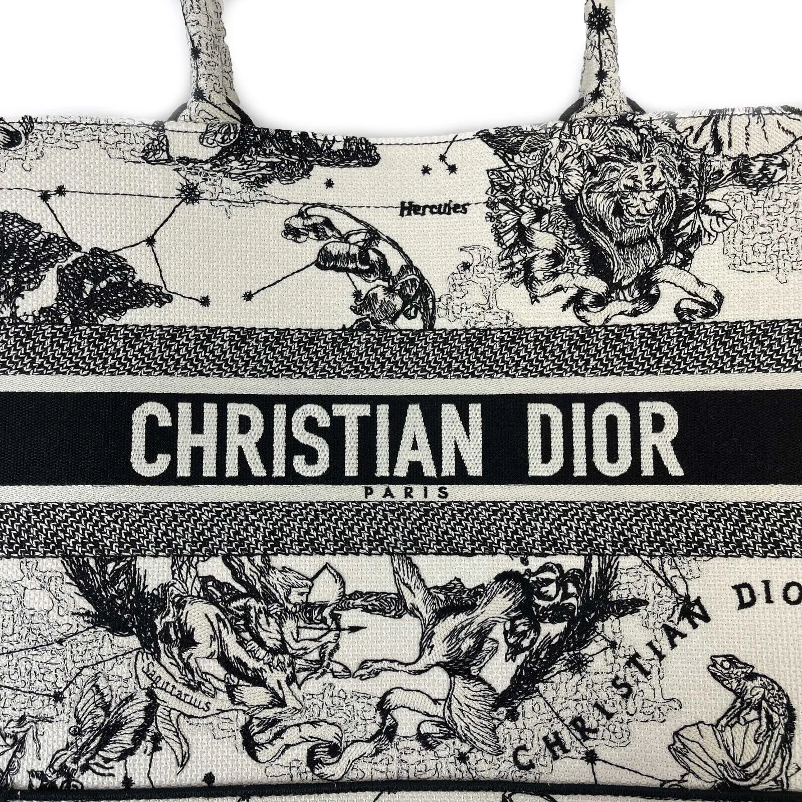 Christian Dior - Medium Book Tote in Latte Dior Zodiac Embroidery - Brand New