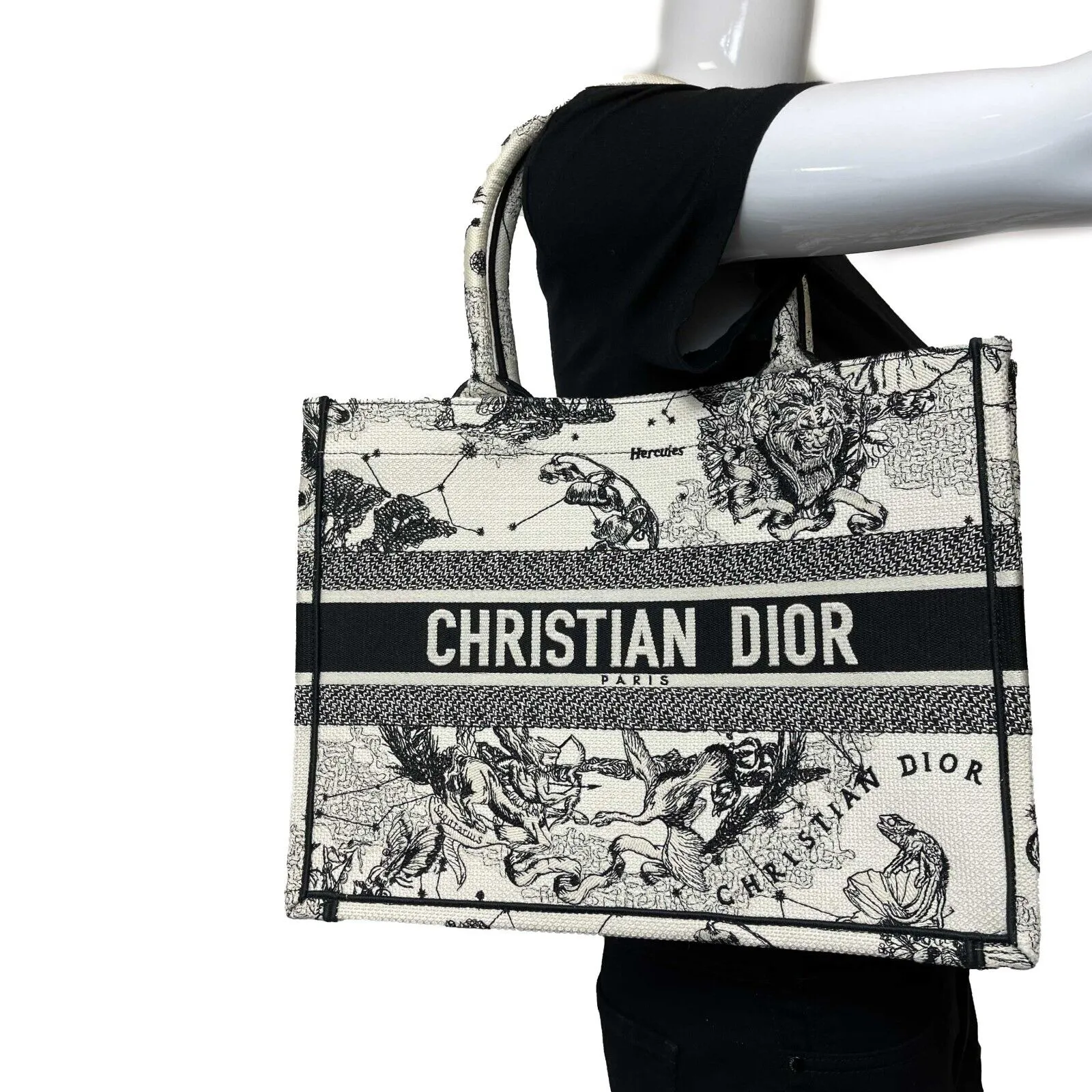 Christian Dior - Medium Book Tote in Latte Dior Zodiac Embroidery - Brand New