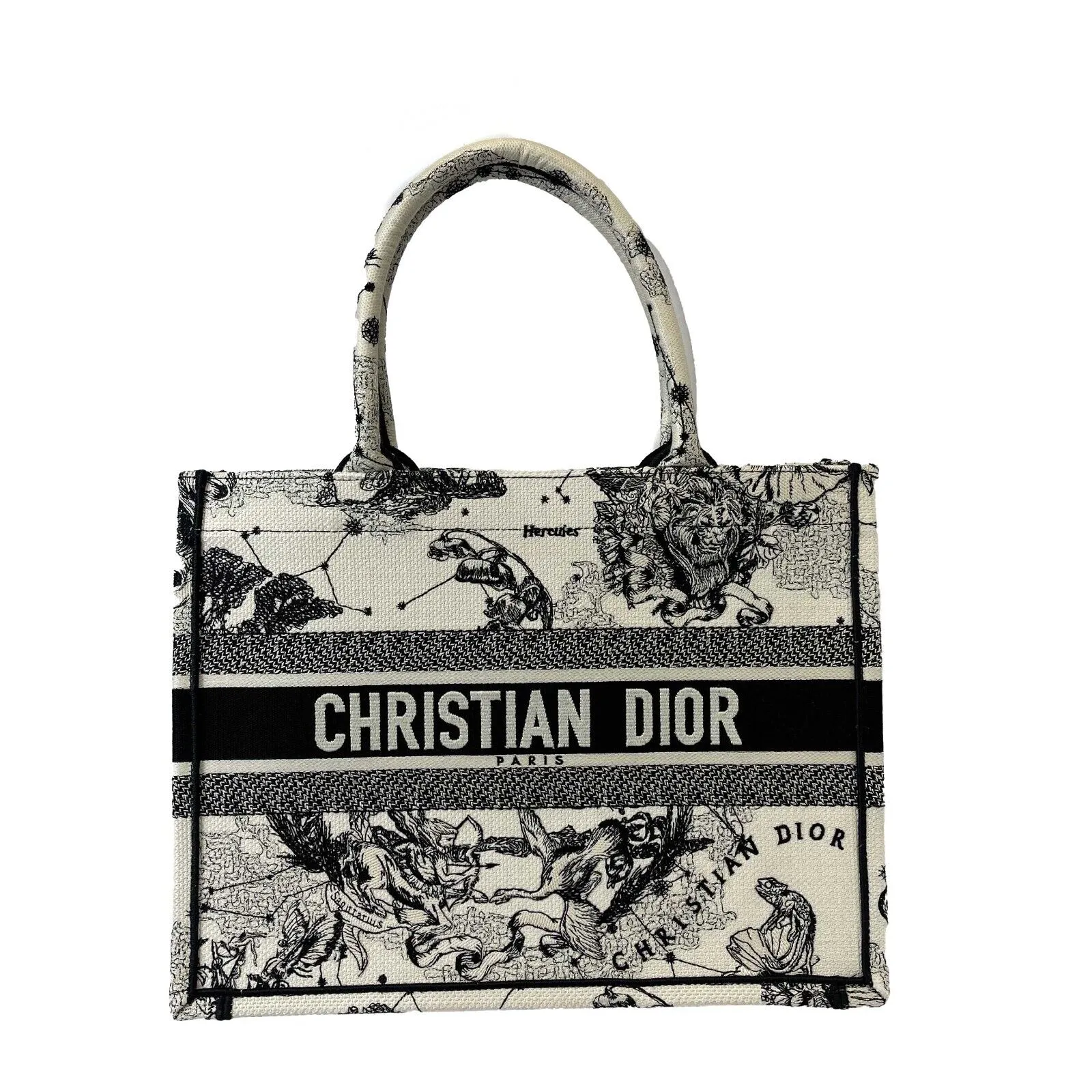 Christian Dior - Medium Book Tote in Latte Dior Zodiac Embroidery - Brand New
