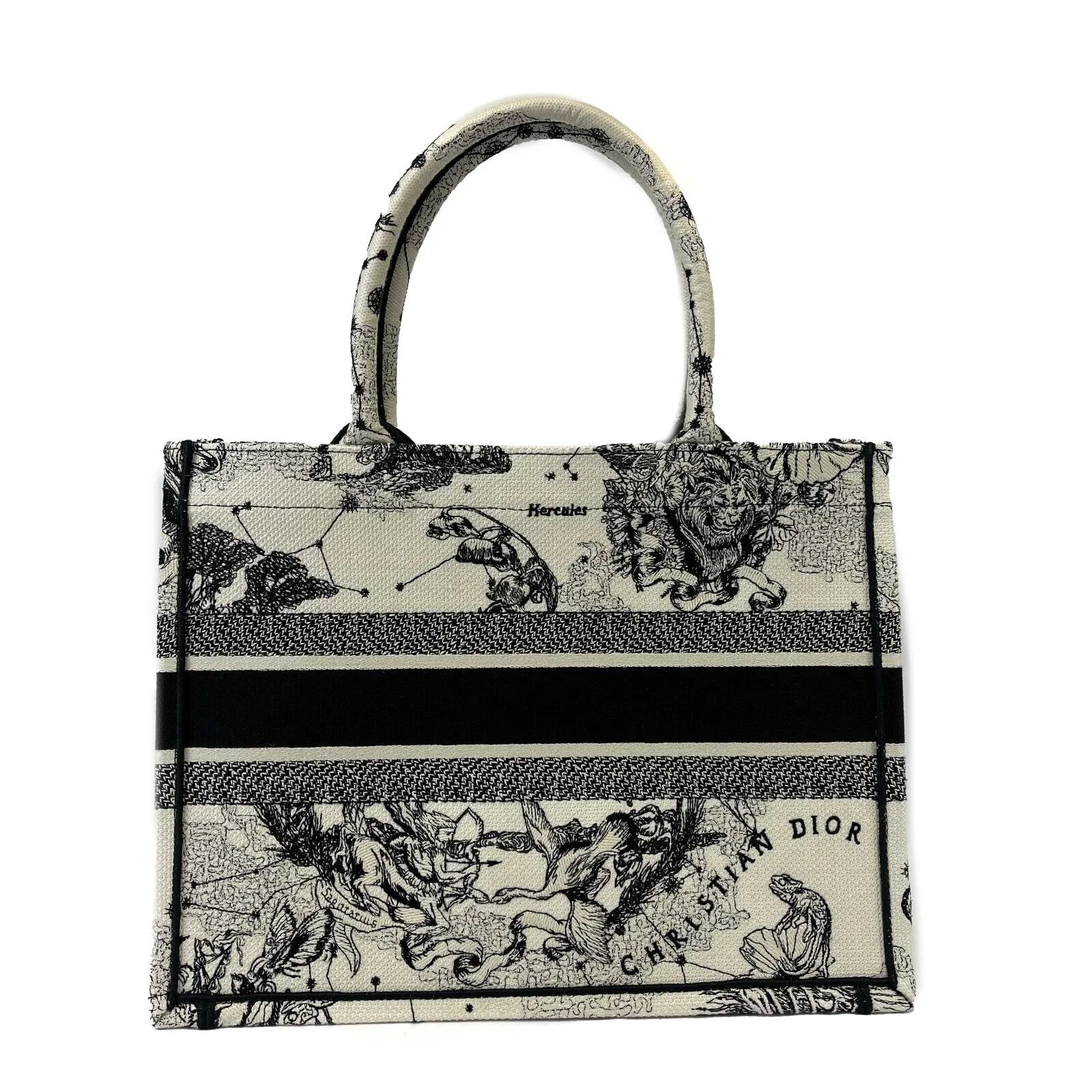 Christian Dior - Medium Book Tote in Latte Dior Zodiac Embroidery - Brand New