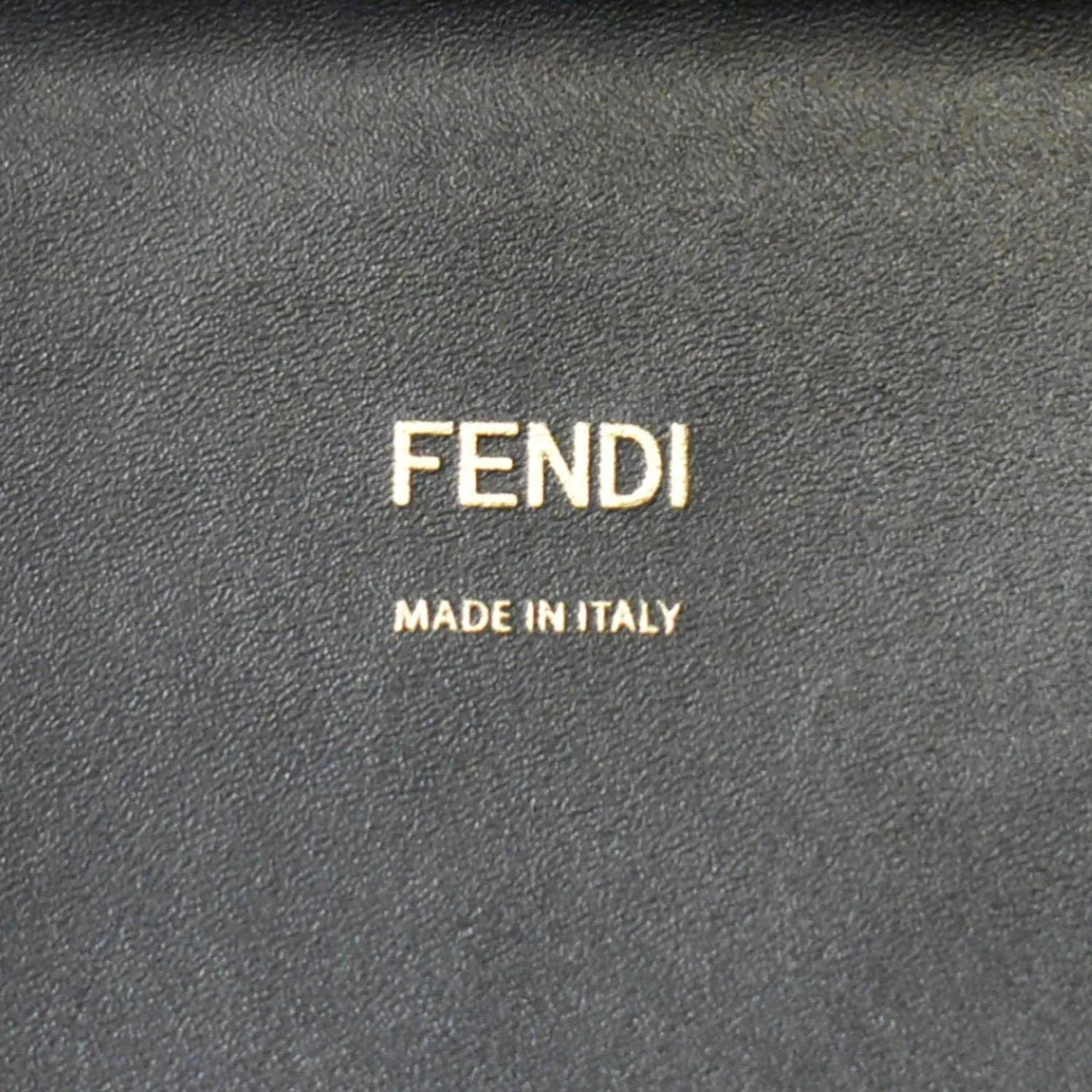 FENDI Sunshine Plexiglass Medium Leather Shopper Tote Bag Black