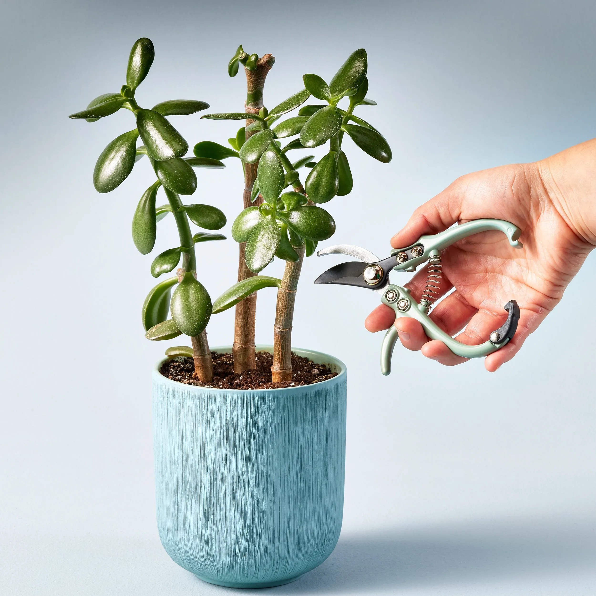 Gardening Shears/Pruner, multiple styles