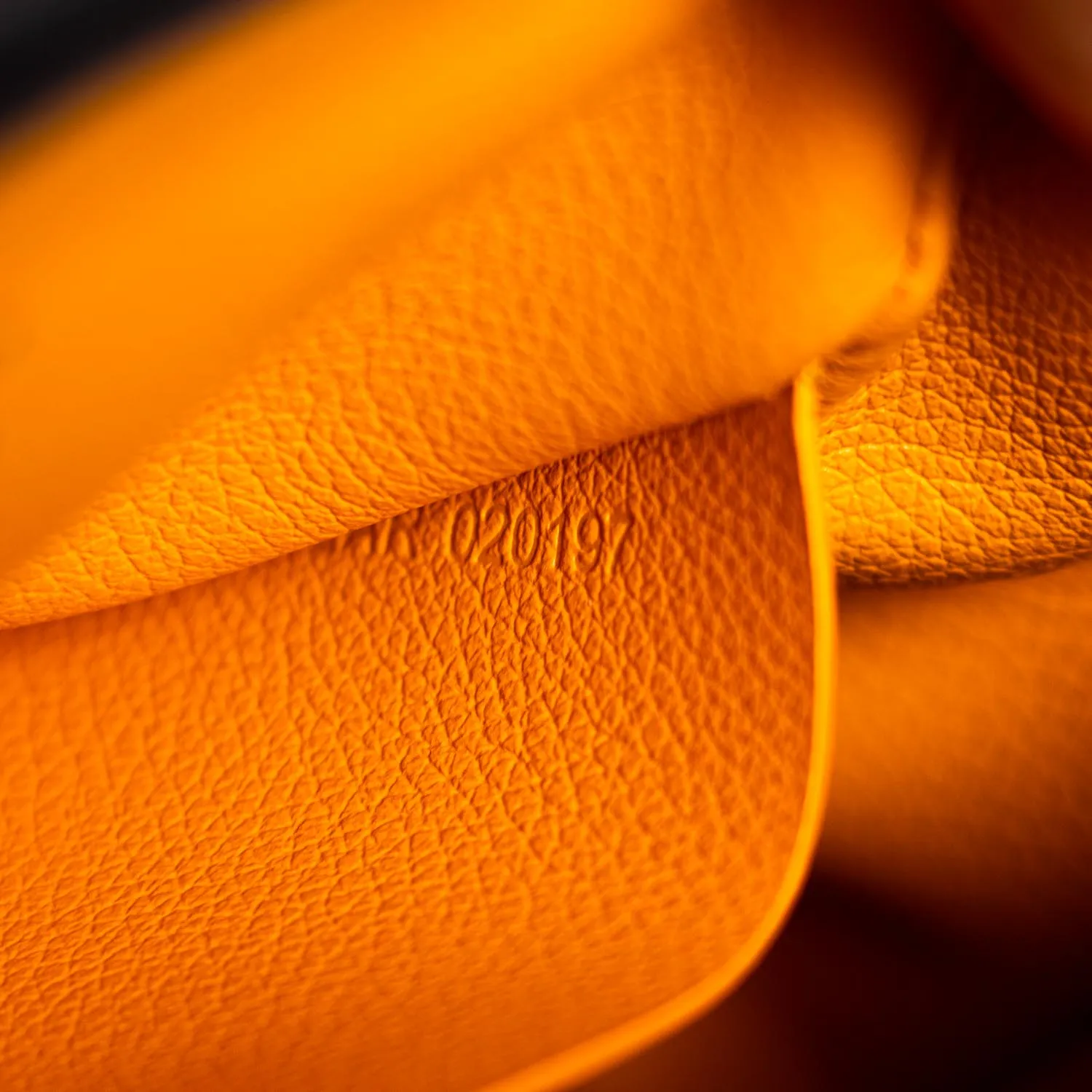 Goyard Goyardine Mini Saigon