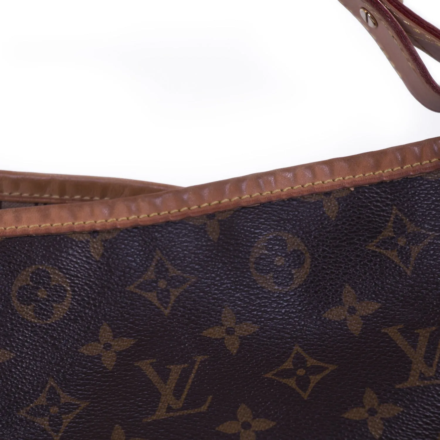 Louis Vuitton Monogram Delightful PM