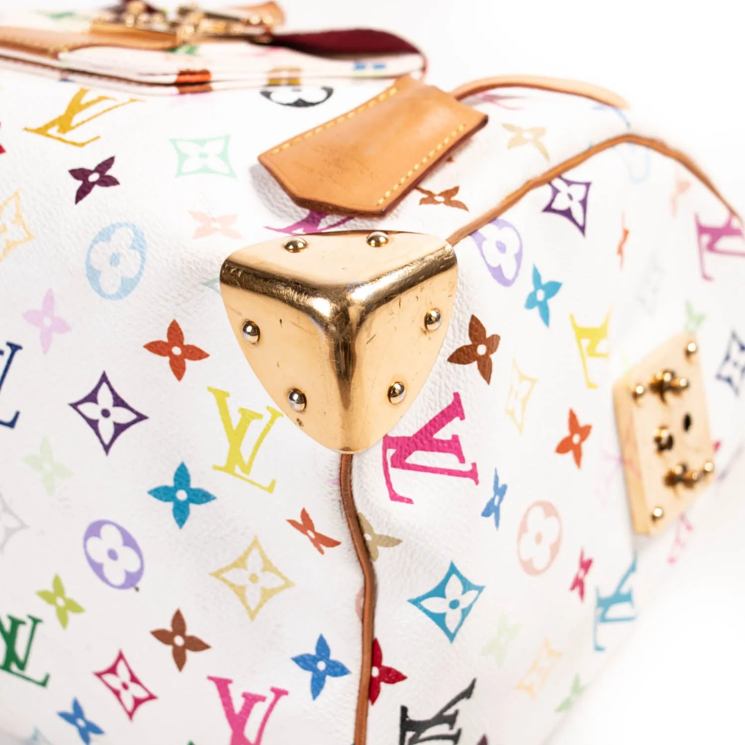 Louis Vuitton Multicolor Murakami Speedy 30