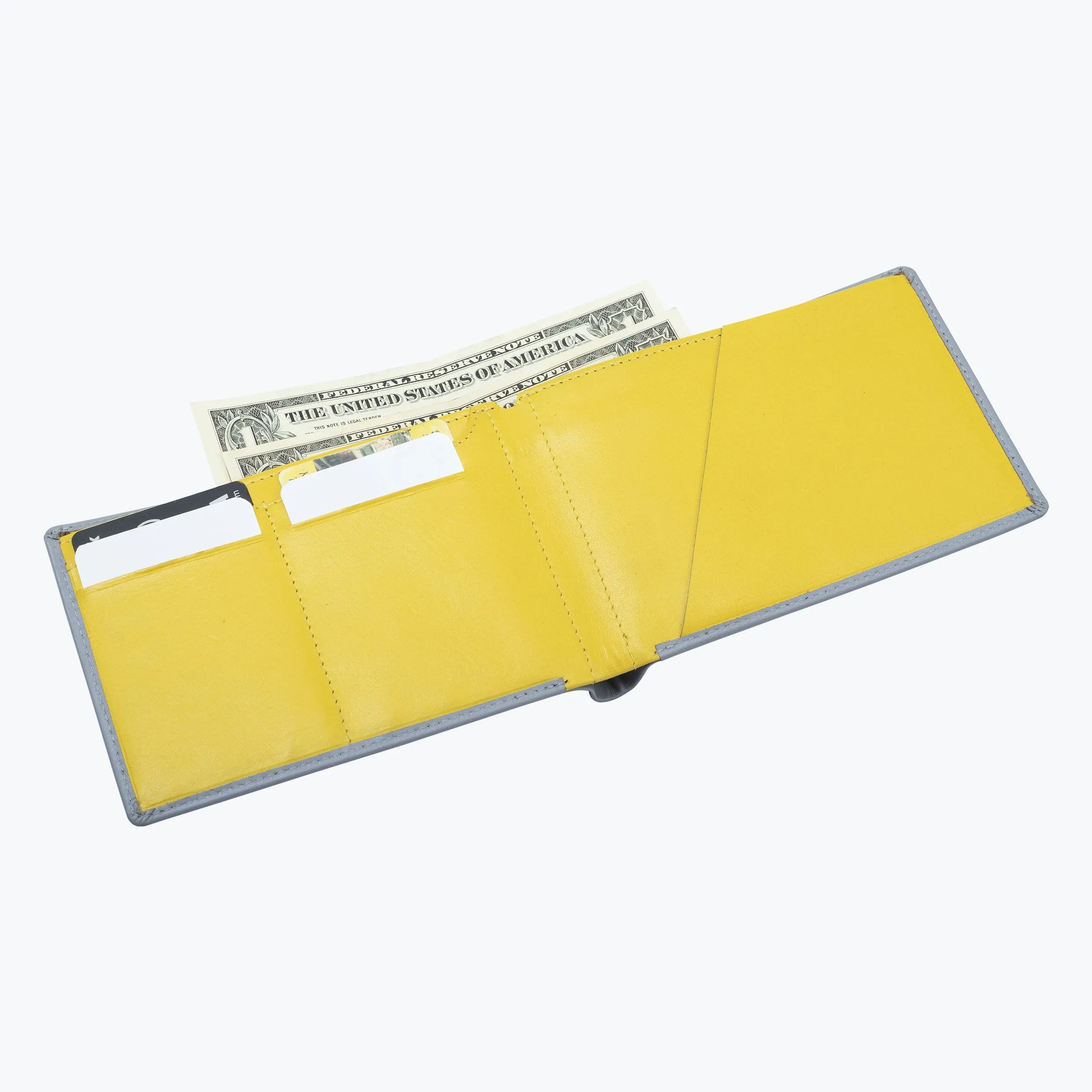 Tourist Wallet