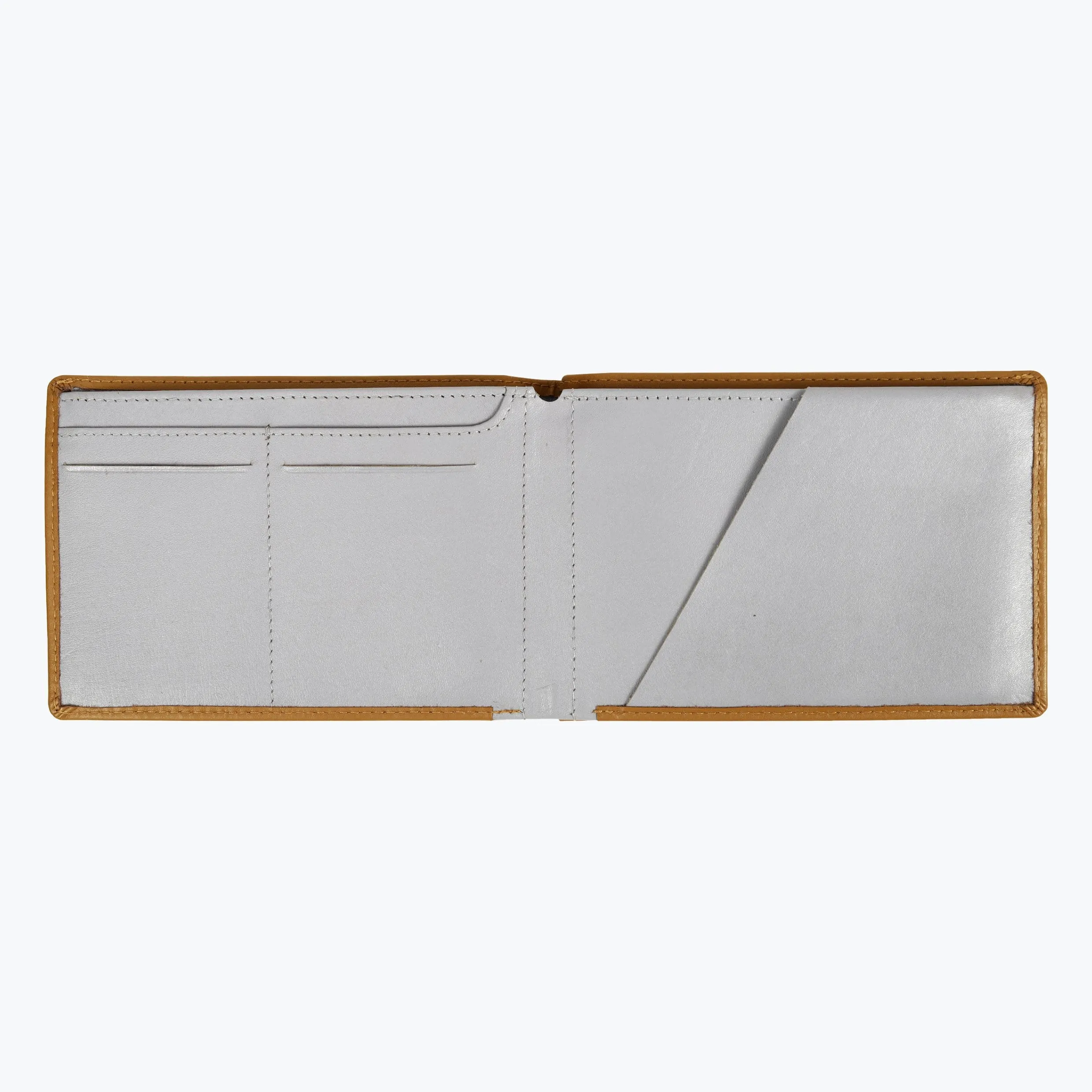 Tourist Wallet
