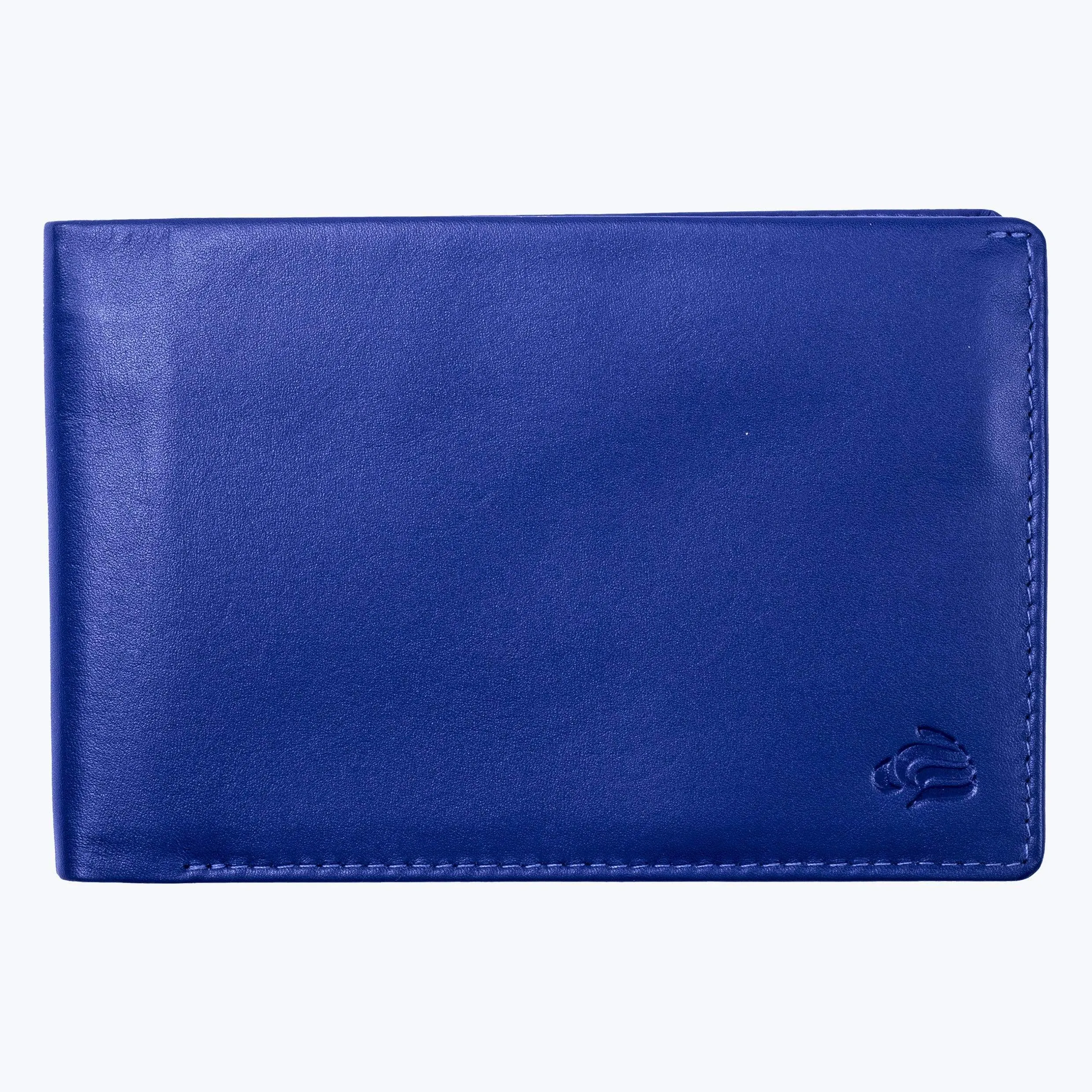 Tourist Wallet
